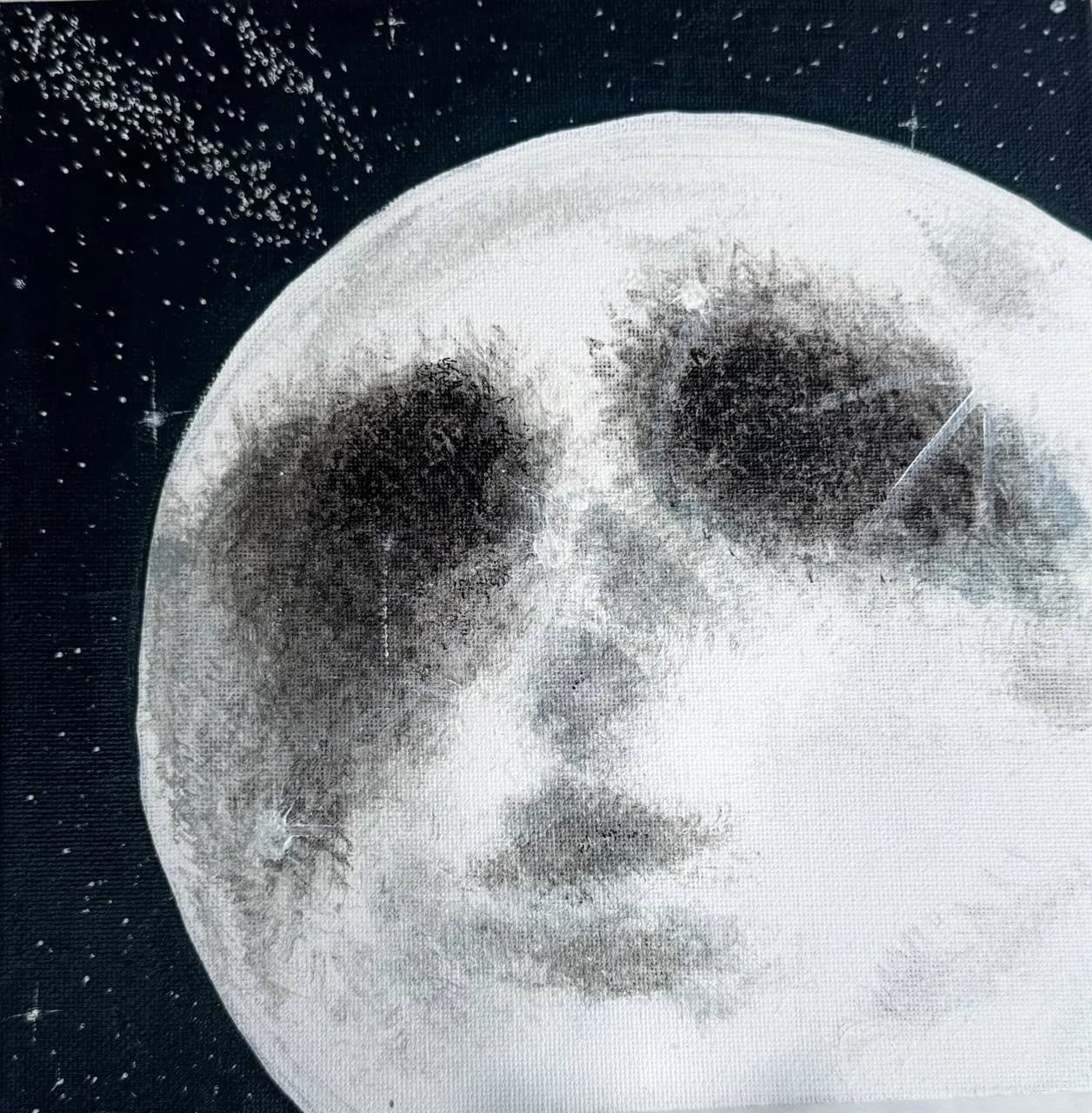 Moonlight gaze