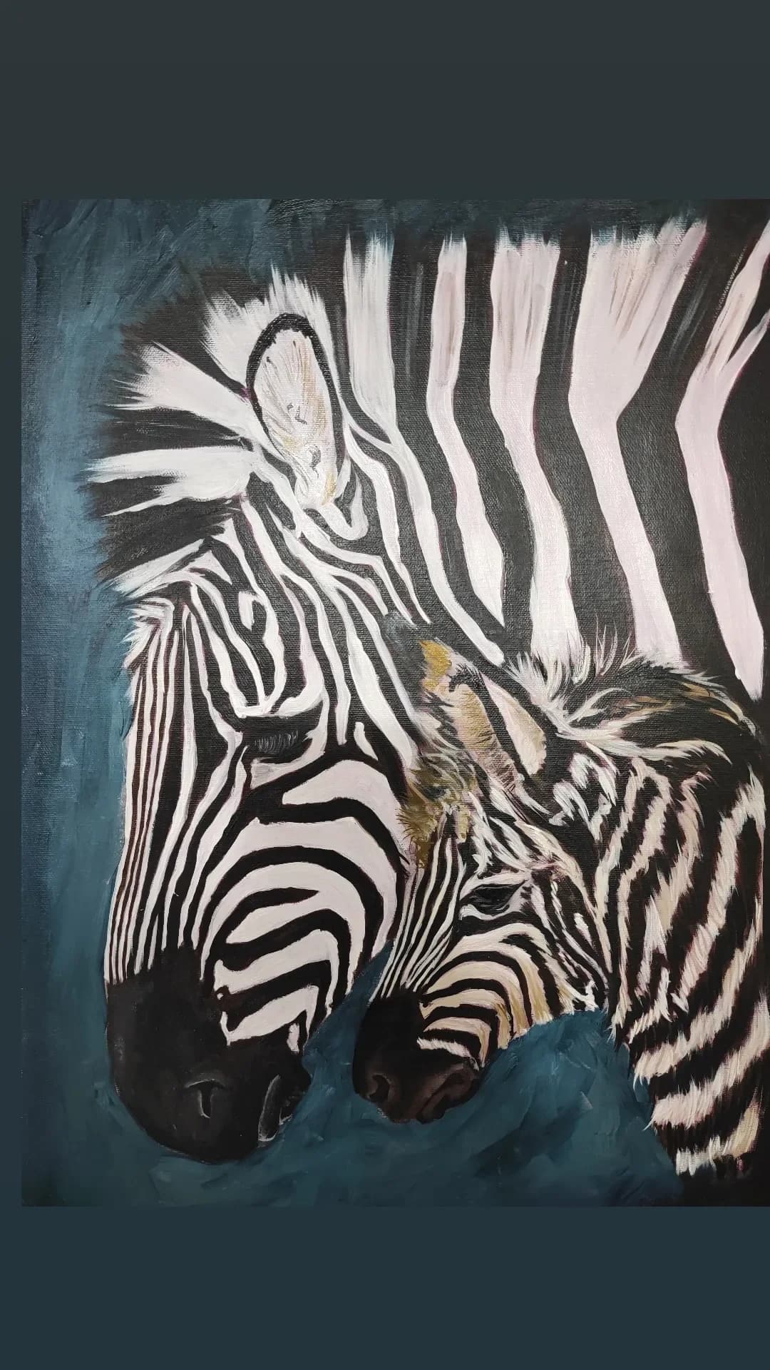 Mãe e filho - Zebra